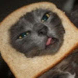 Meet your Posher, Lysandre